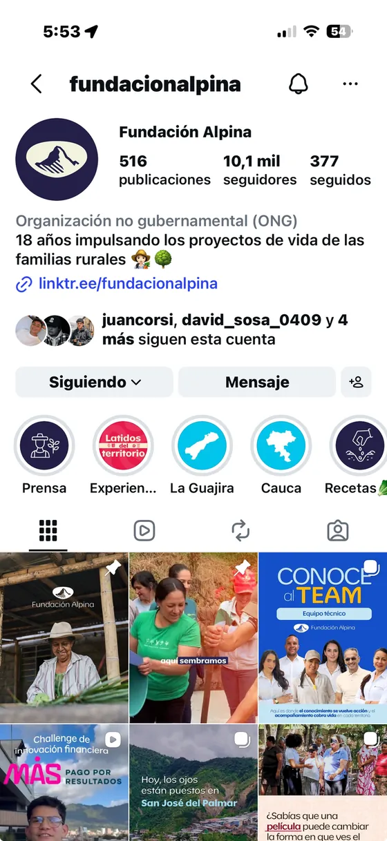 Perfil de Instagram de Fundación Alpina con su parrilla de contenido